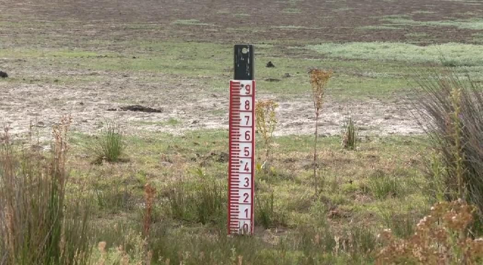 El calor extremo deja sin vida la laguna permanente de Santa Olalla en el Parque de Doñana El calor extremo deja sin vida la laguna permanente de Santa Olalla en el Parque de Doñana