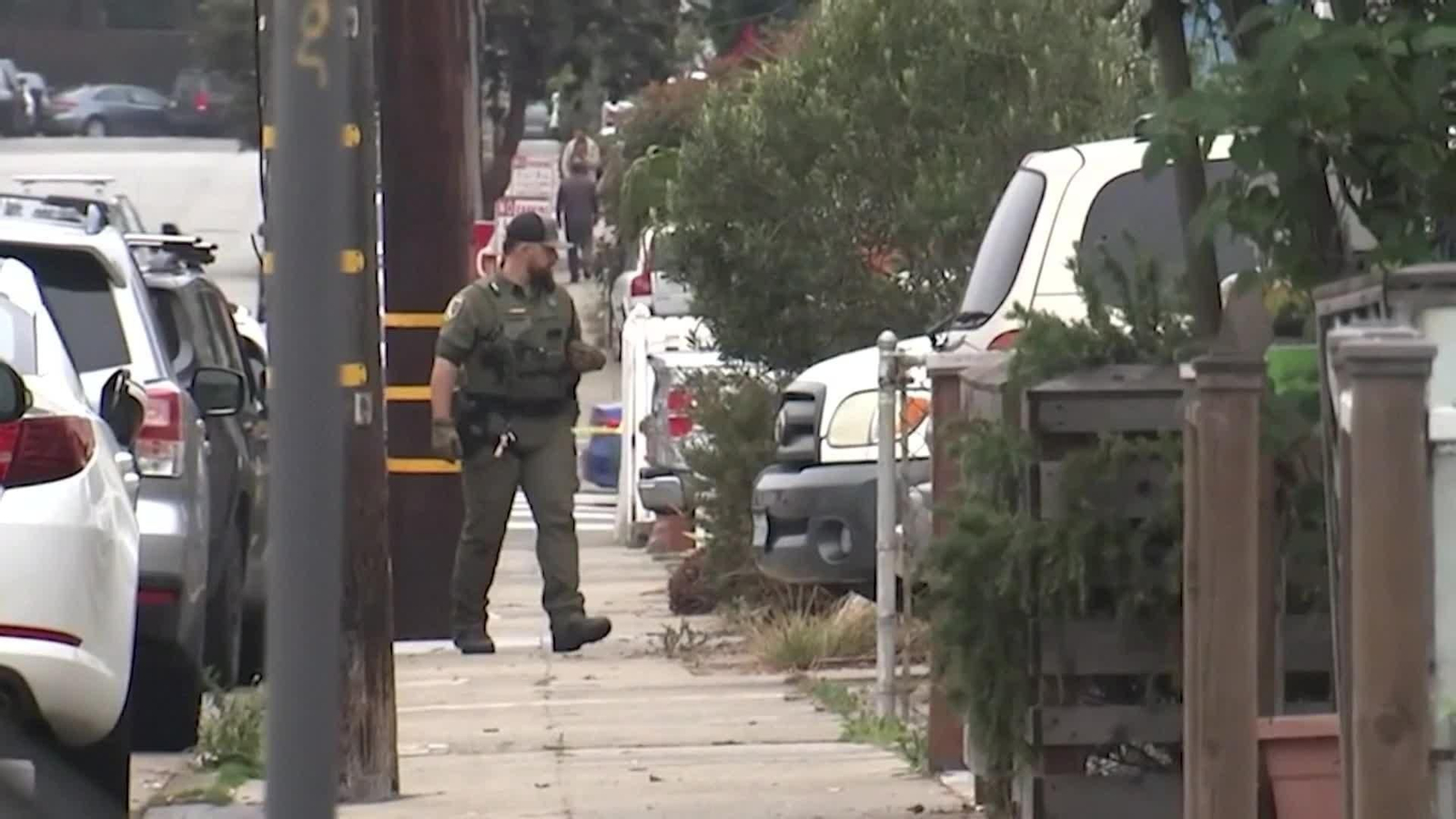 S001-EEUU SAN FRANCISCO POLICIA RESCATA PUMA