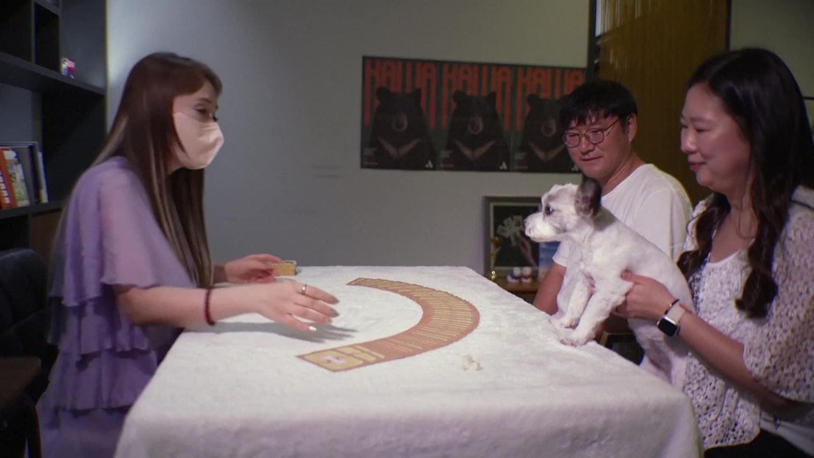 va corea del sur tarot para perros