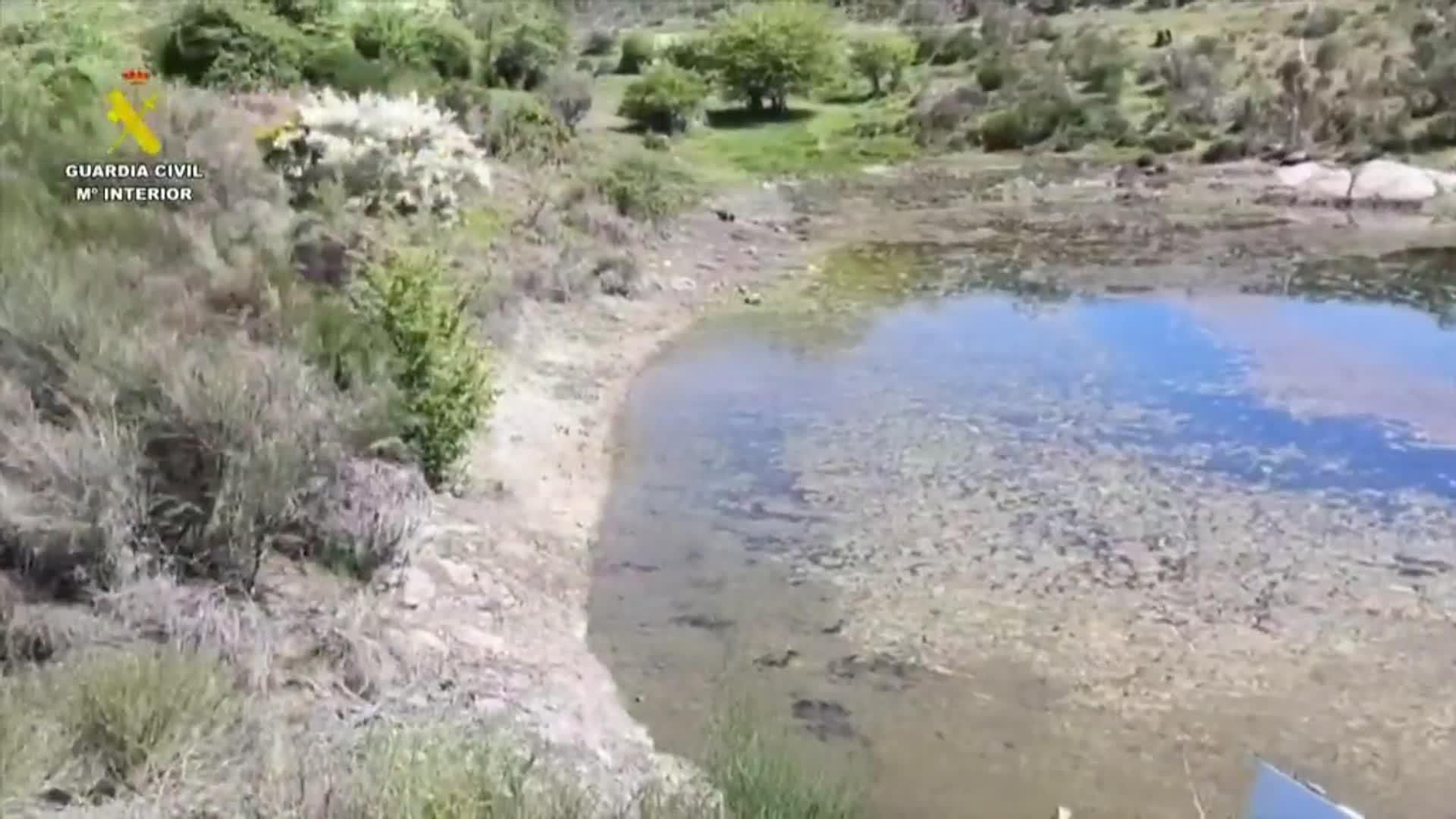 va busqueda jarandilla vera