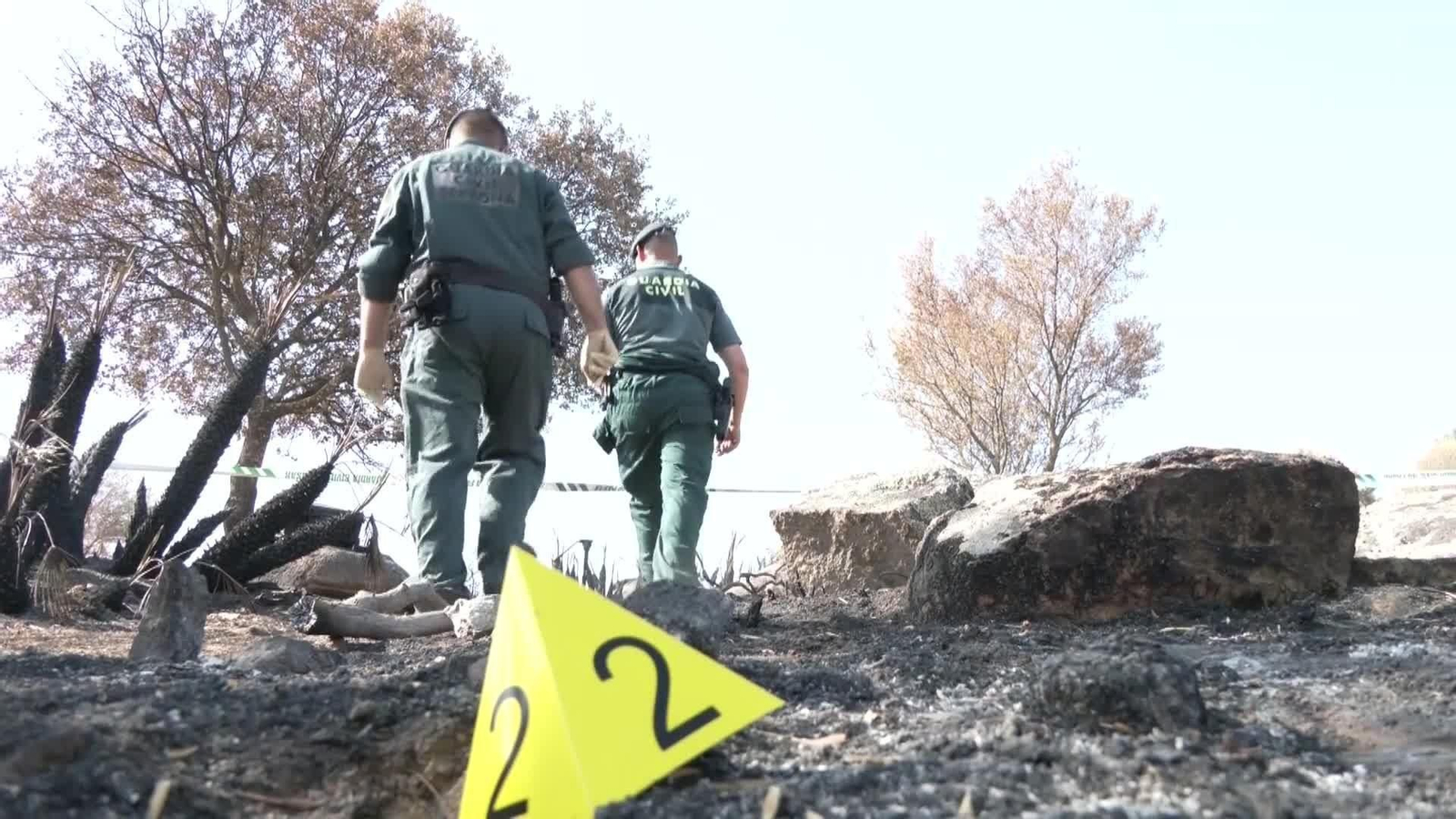 web investigacion incendios