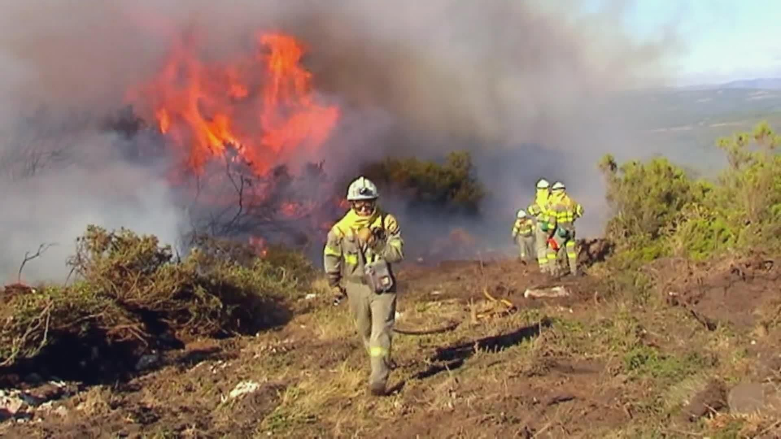 web anuncios contra el fuego