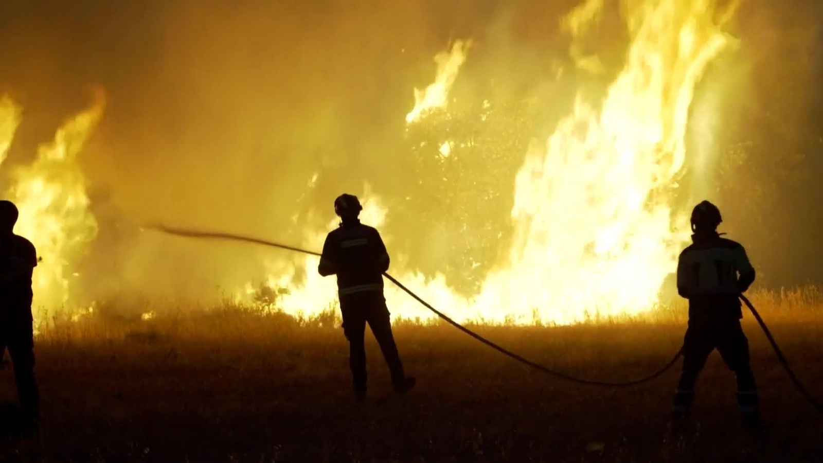 web incendios zamora