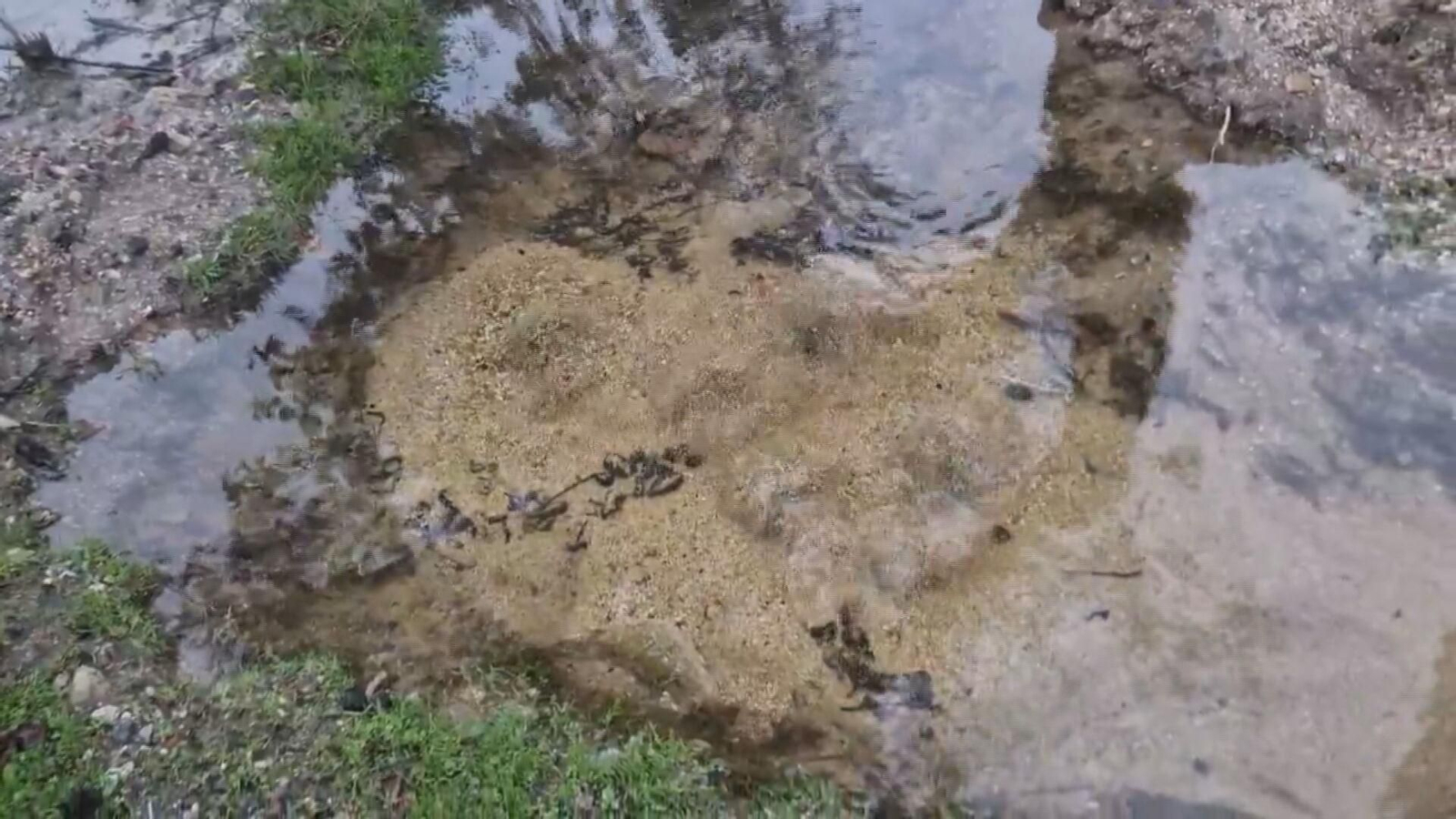 L069-EDI VARIOS EFECTOS HUMEDAD TERRENO