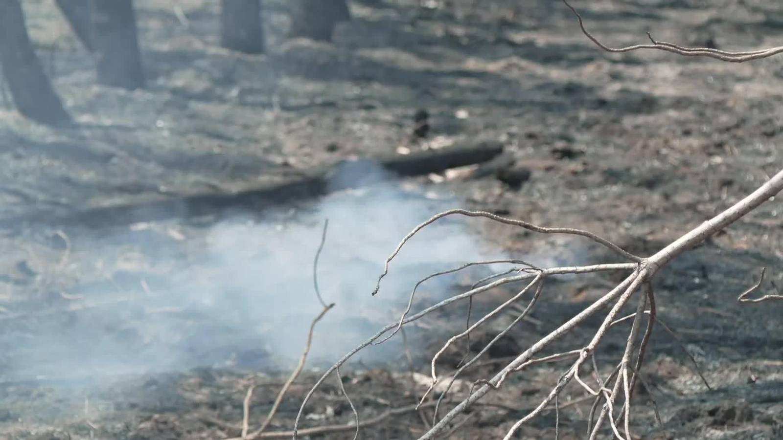 X074-FRANCIA BURDEOS INCENDIO TARDE