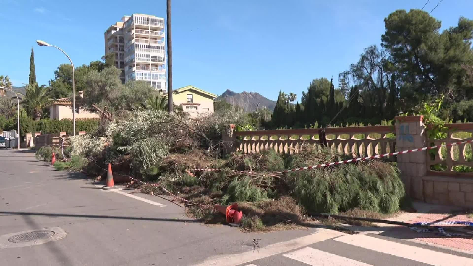 L056-EDI-VARIOS DAÑOS POR EL VIENTO