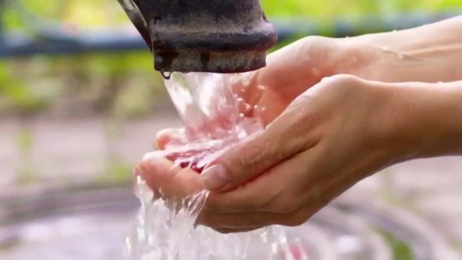 web dasalinizadoras en el golfo