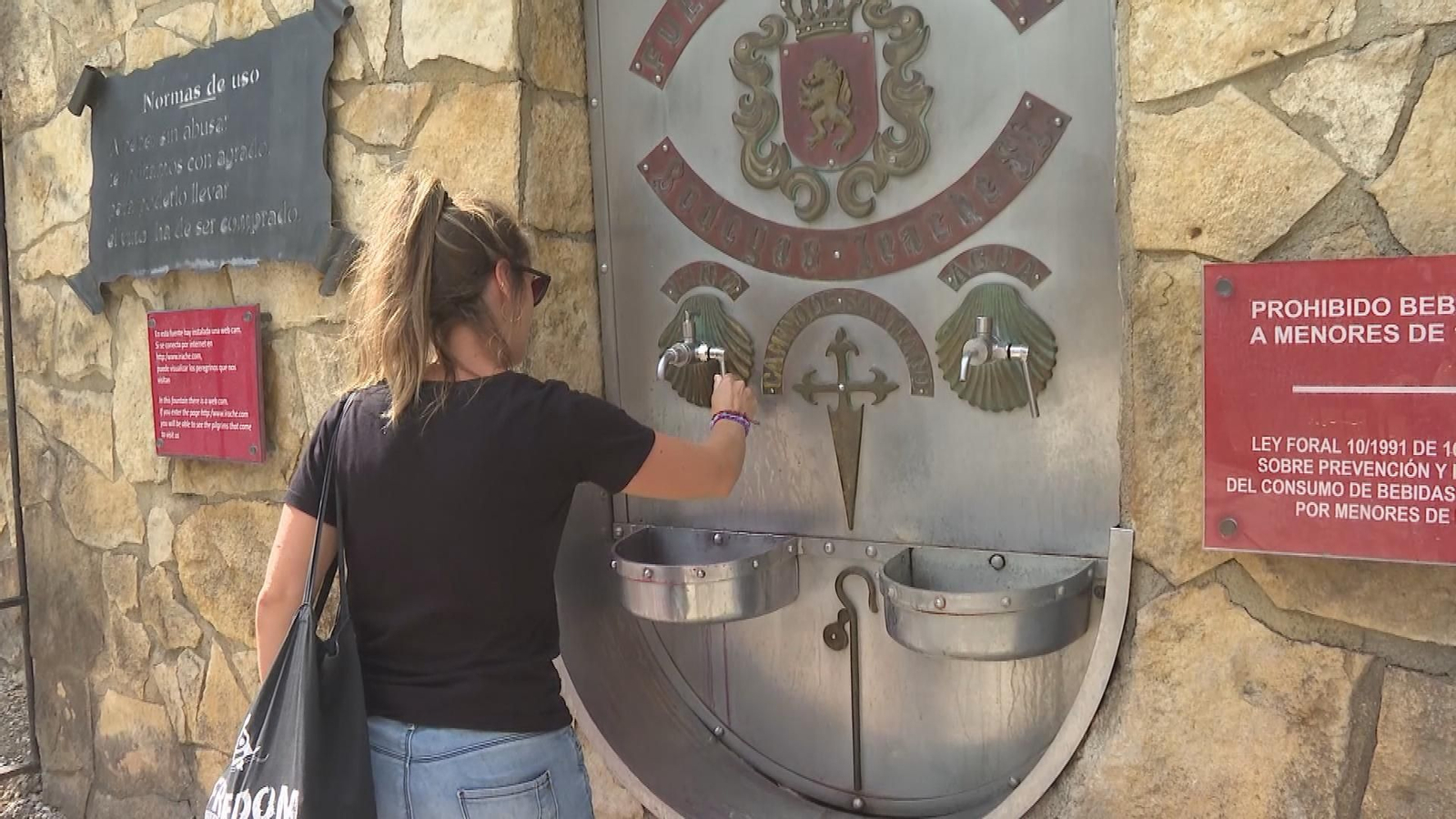 V039-NAVARRA FUENTE DEL VINO