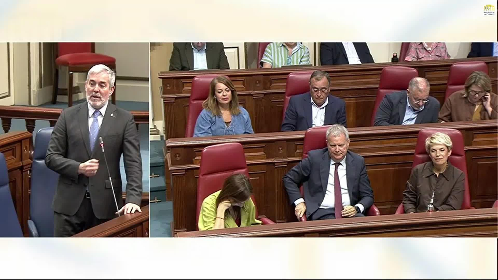 web patogenos politicos