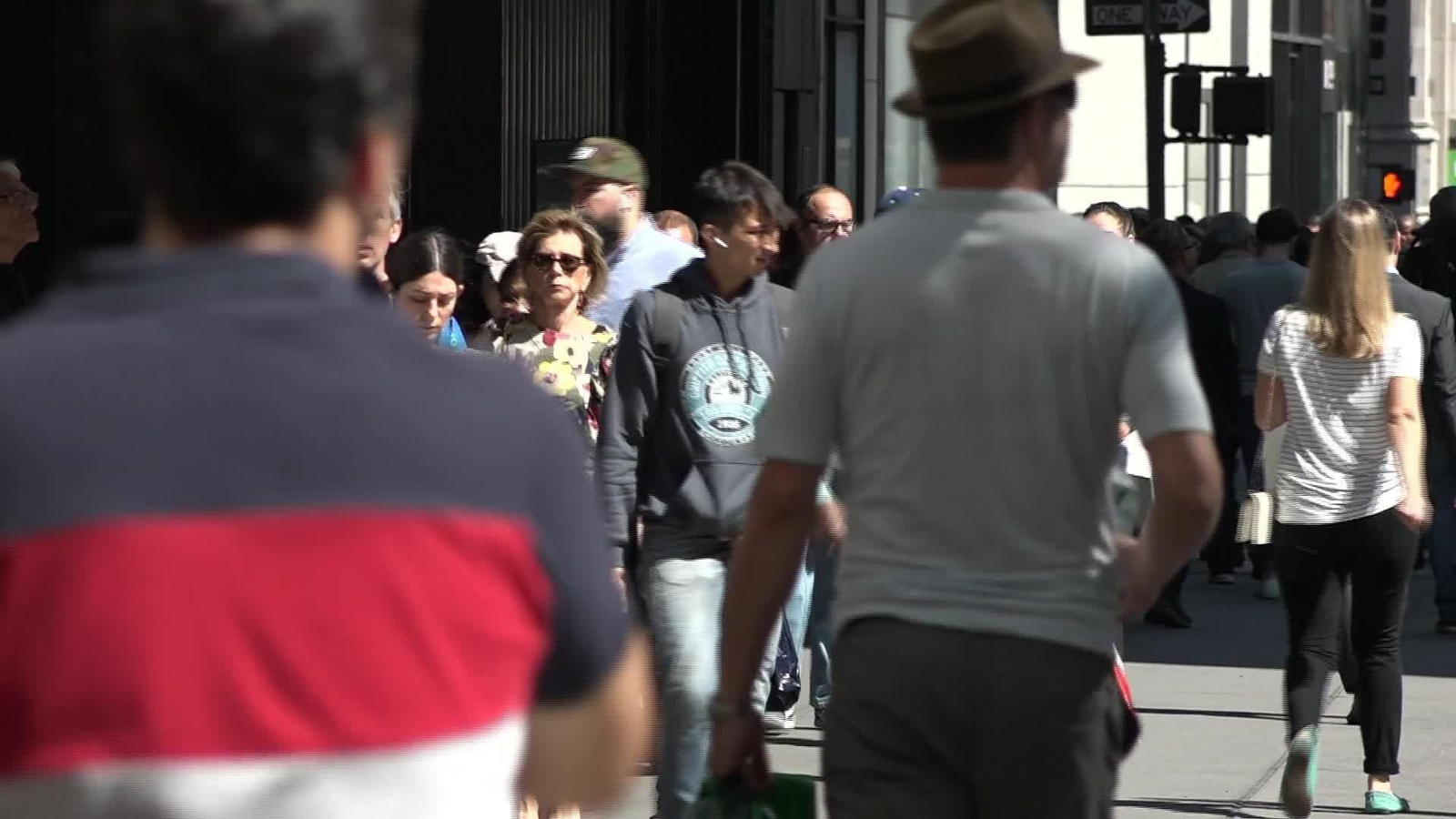 V074-EDI VARIOS LONGEVIDAD Y GENETICA