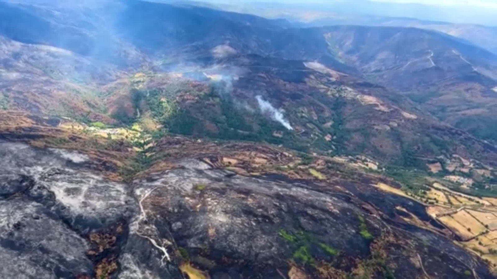 web greenpeace aereas incendios