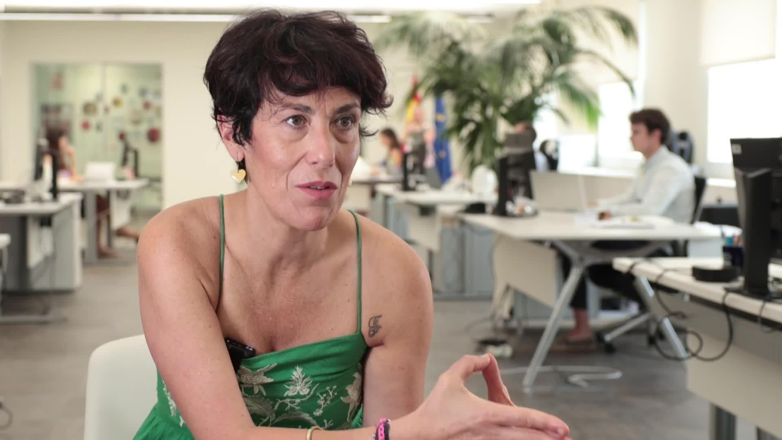 va elma saiz