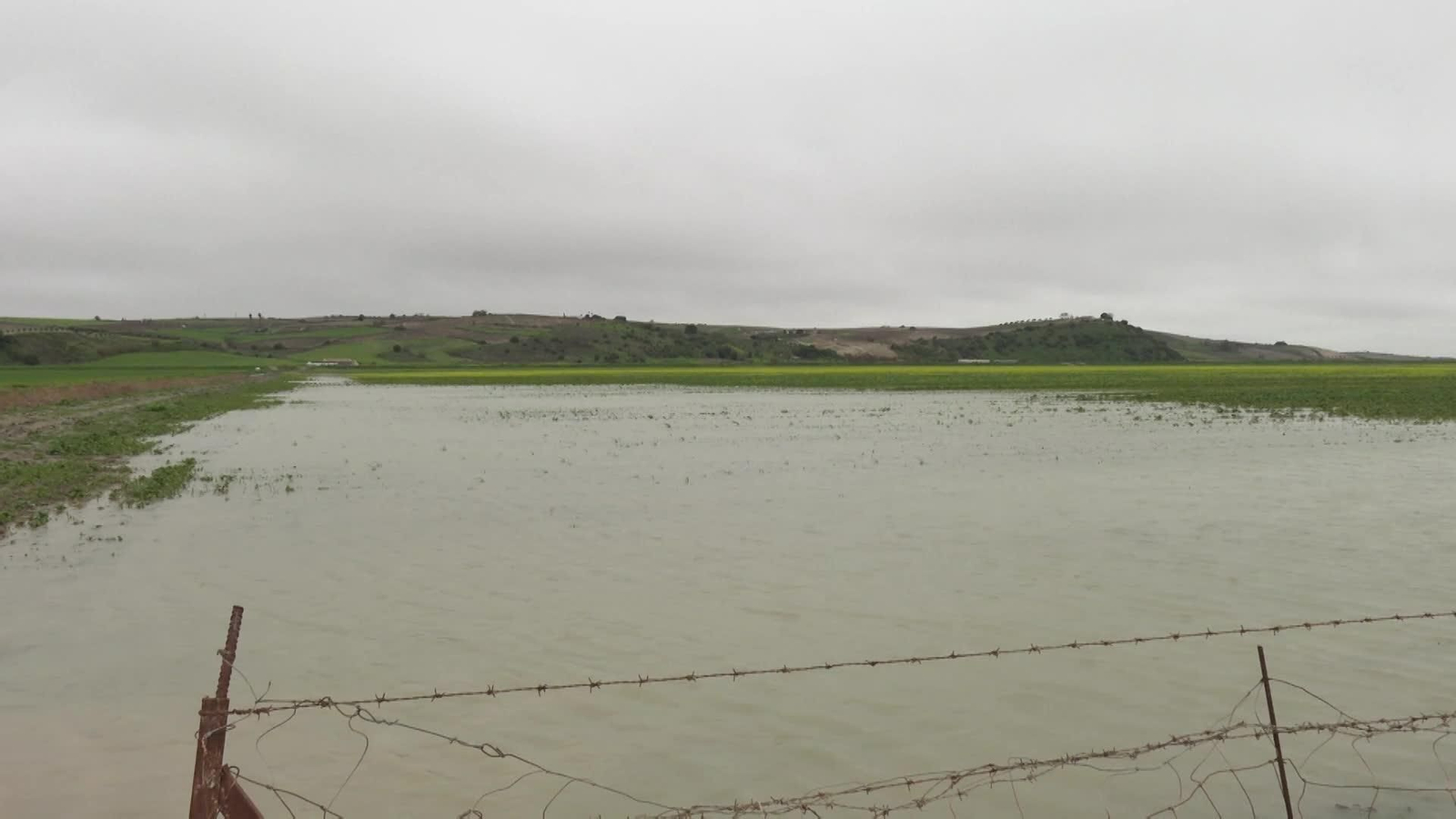 L052-EDI VARIOS PERDIDAS AGRICULTURA