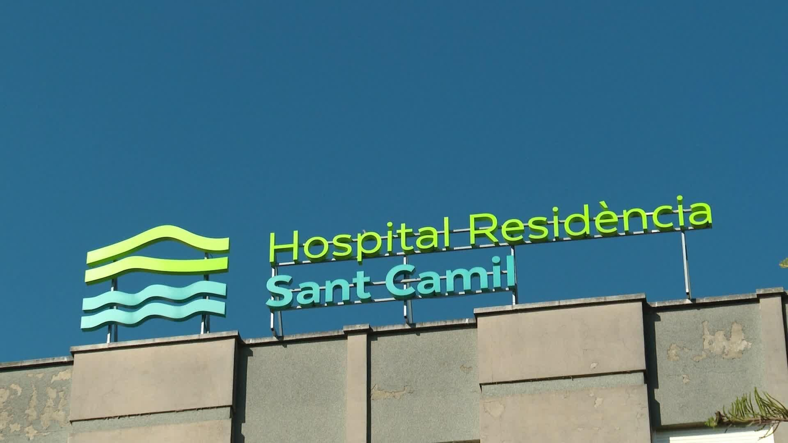 X043-BARCELONA SEGUIMIENTO EUTANASIA NOELIA