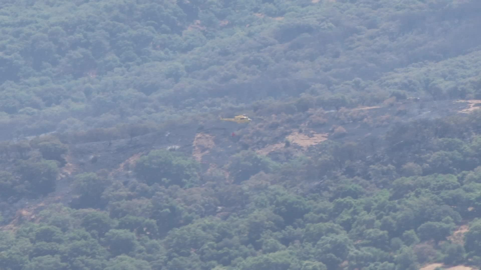 M036-CADIZ INCENDIO GRAZALEMA HOY