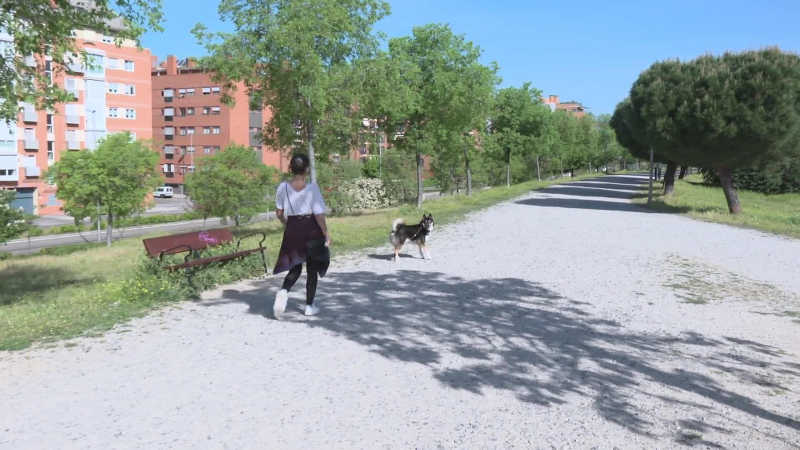 web perros atados supermercados