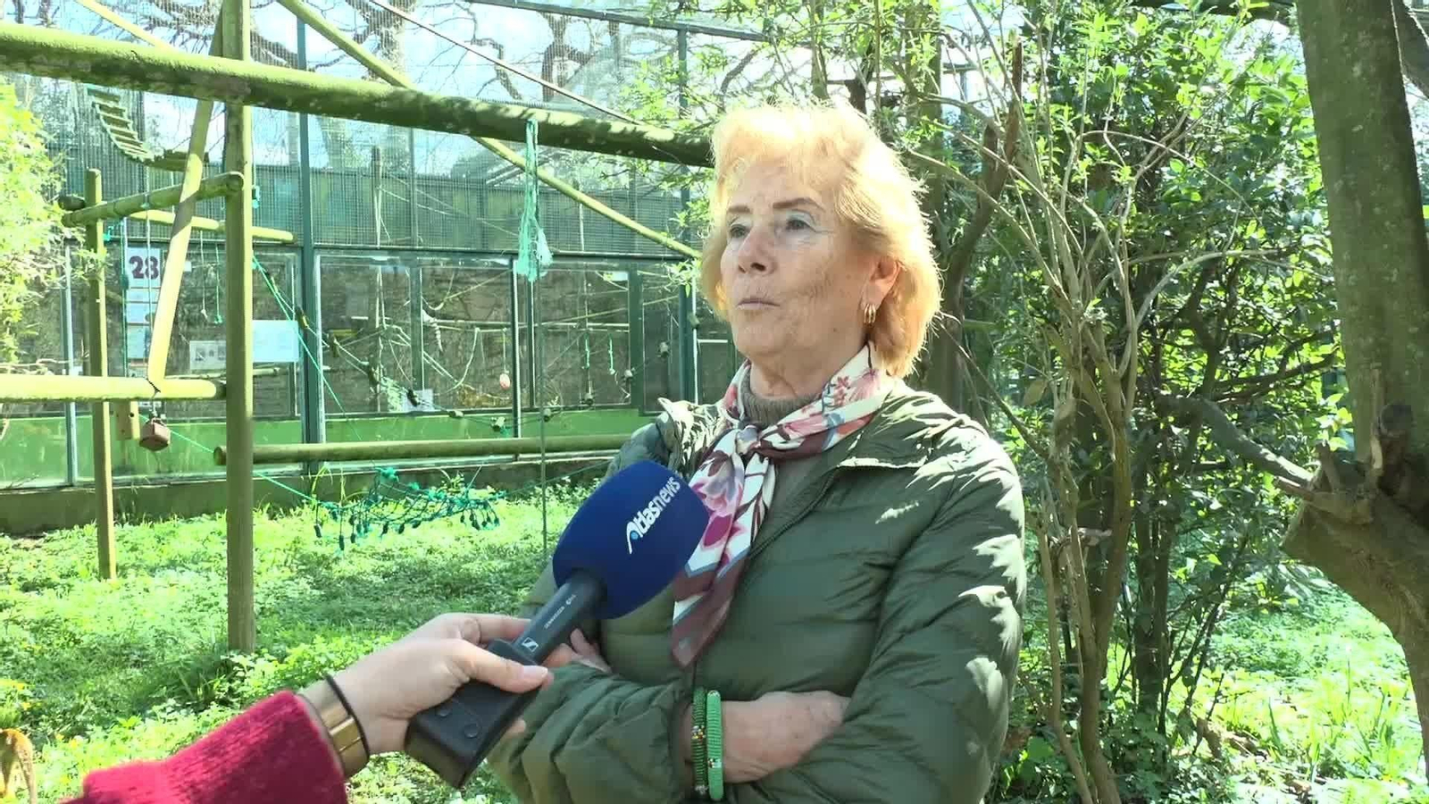 S019-SANTANDER RICHTER MONO SOLITARIO CRIADO JUNTO A PELUCHE