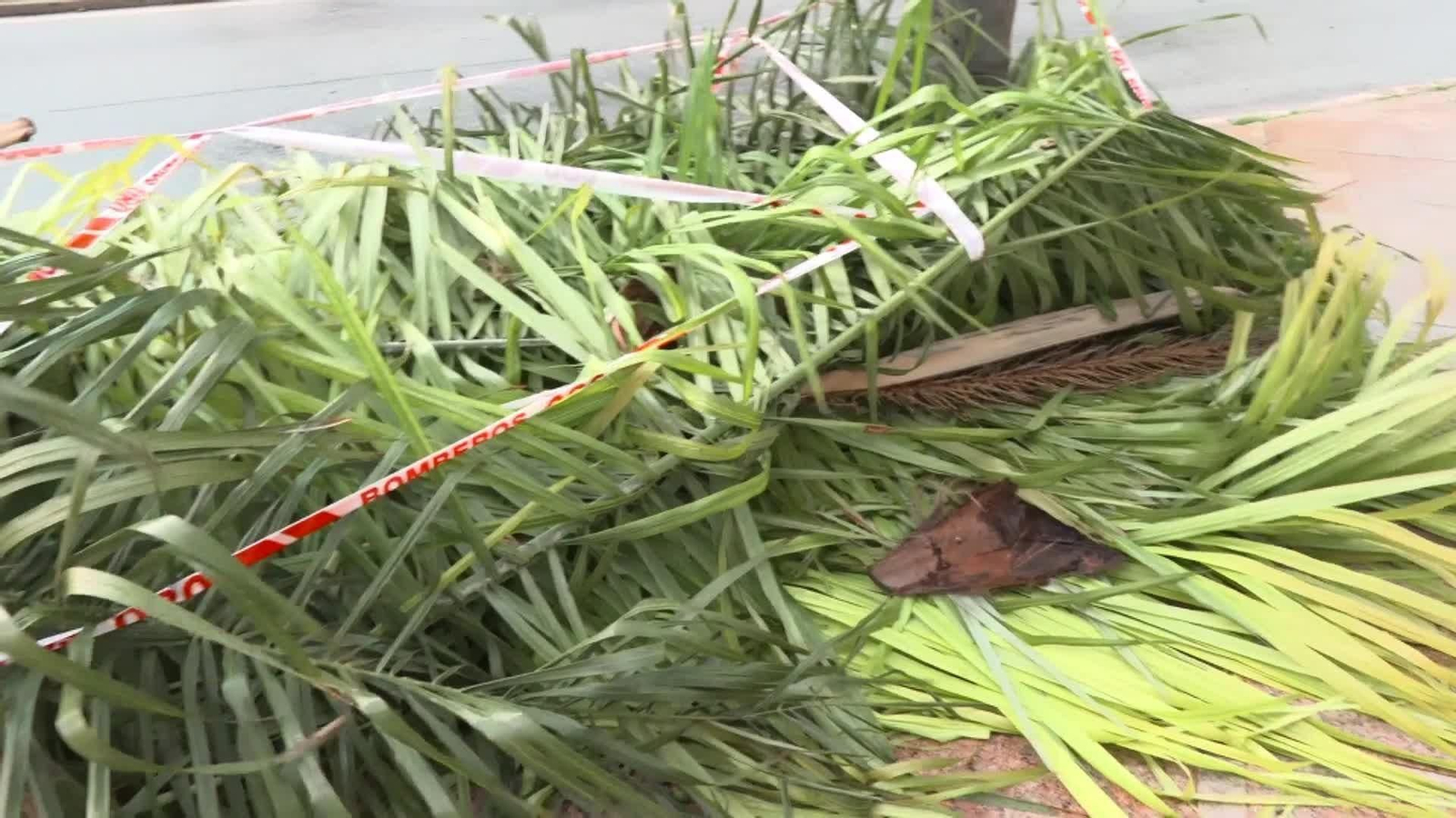 web toda españa en alerta