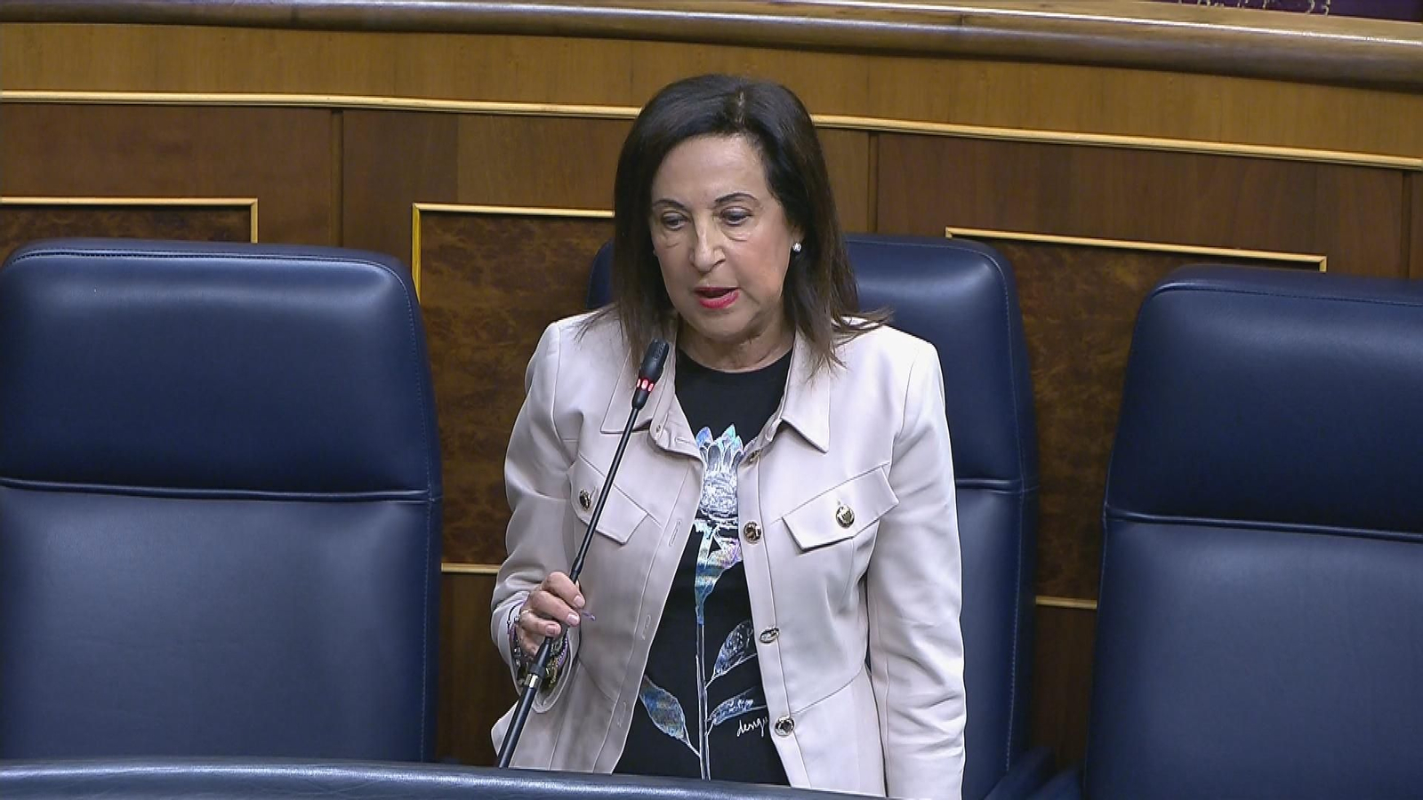 X018 CONGRESO CONTROL PP A MARGARITA ROBLES frame 3869