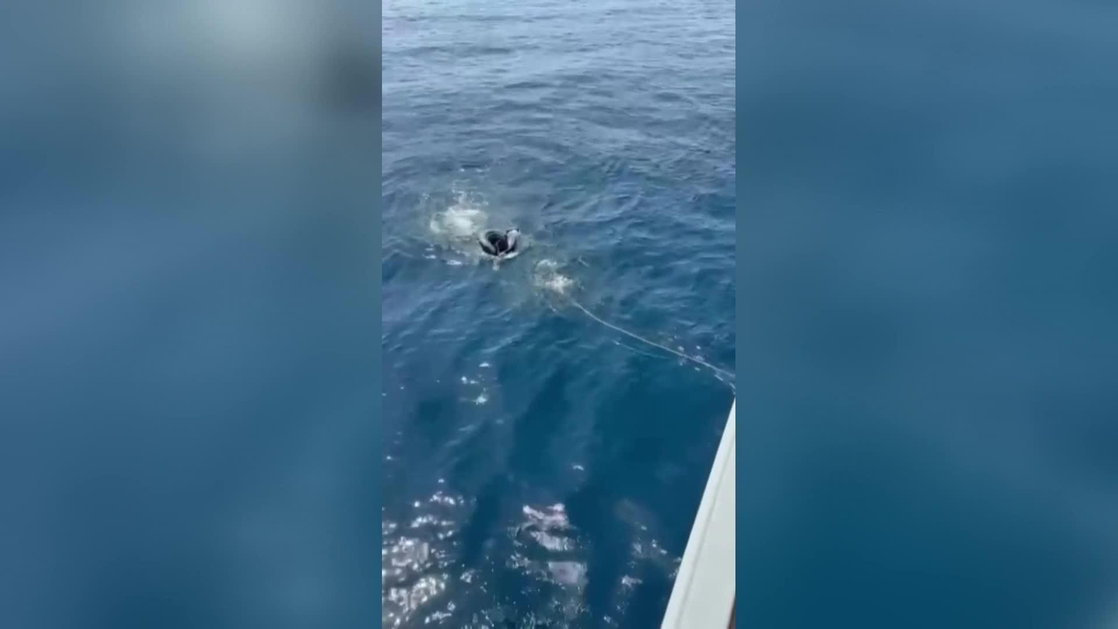 Interceptado un inmigrante que pretendía cruzar el estrecho de Gibraltar a nado para llegar a España
