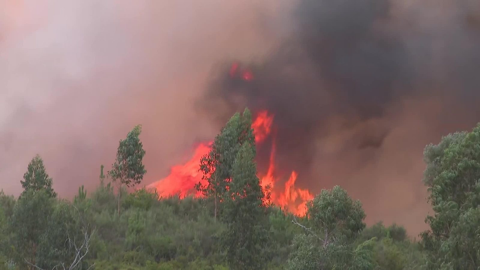 va incendio carballeda