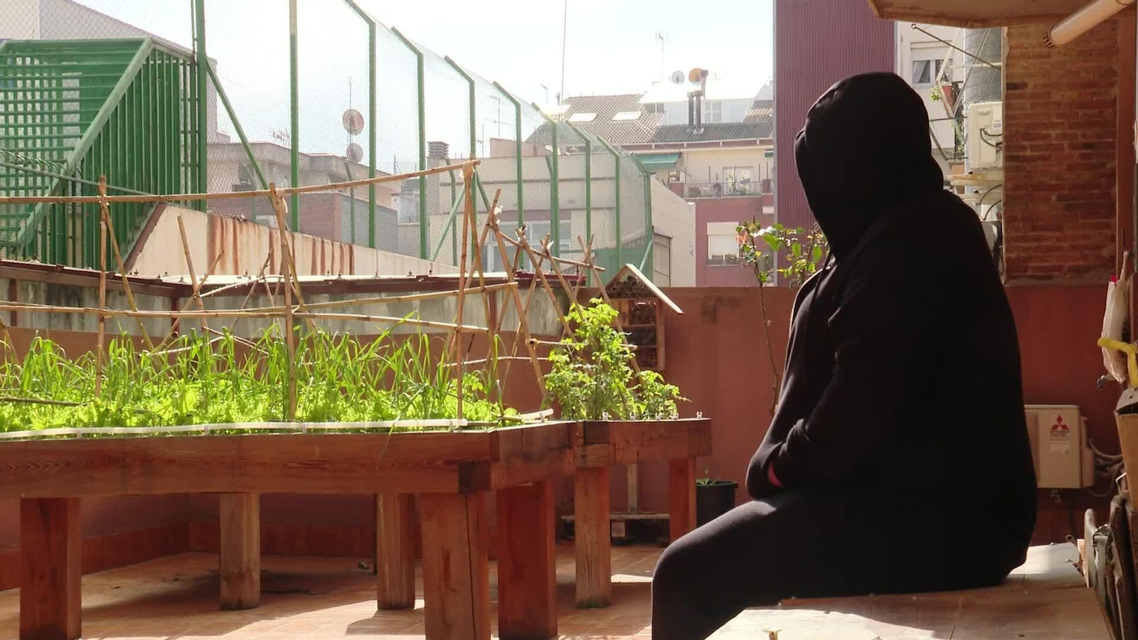 J054-EDI VARIOS CRECE LA PUREZA DE LA COCAINA EN ESPAÑA