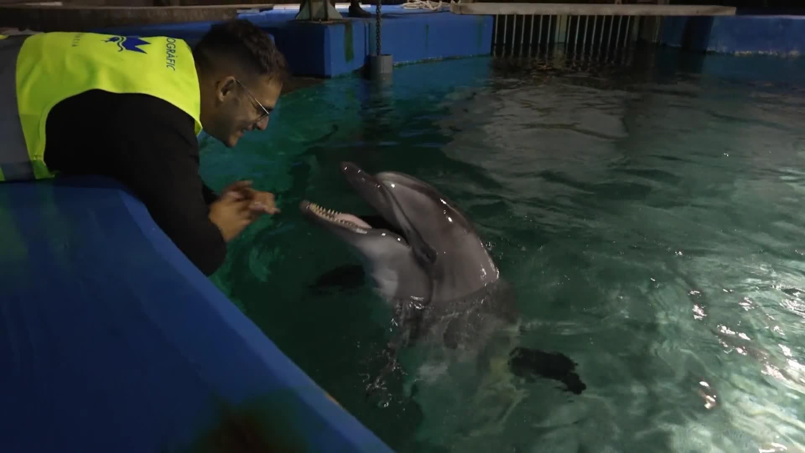 va belugas oceanographic