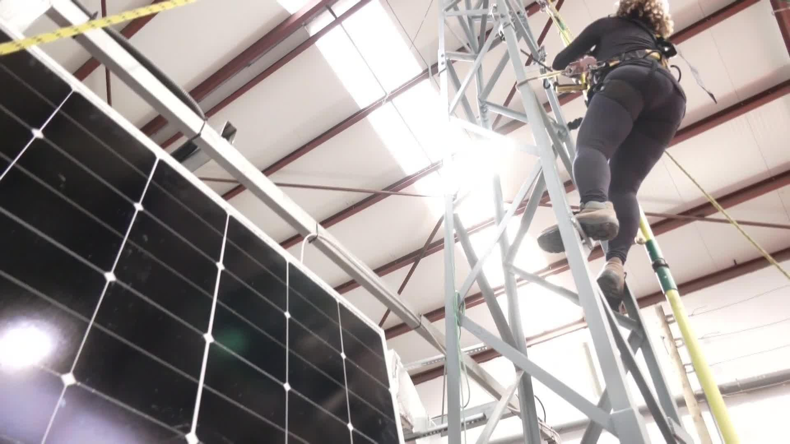 web cursos inclusion