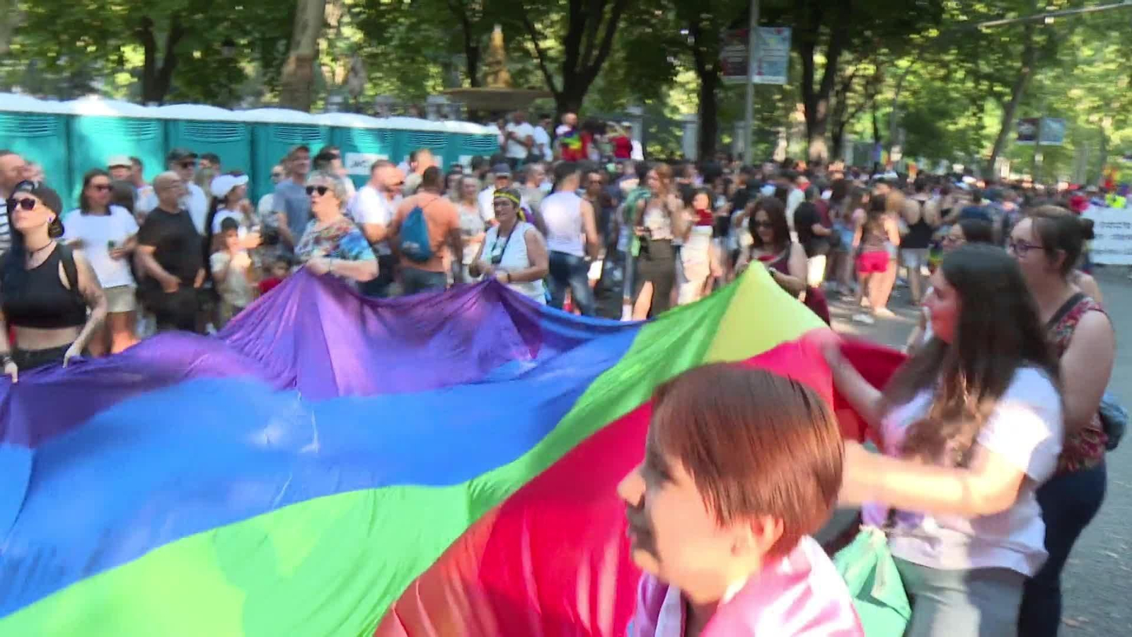 web el colectivo y el orgullo ok
