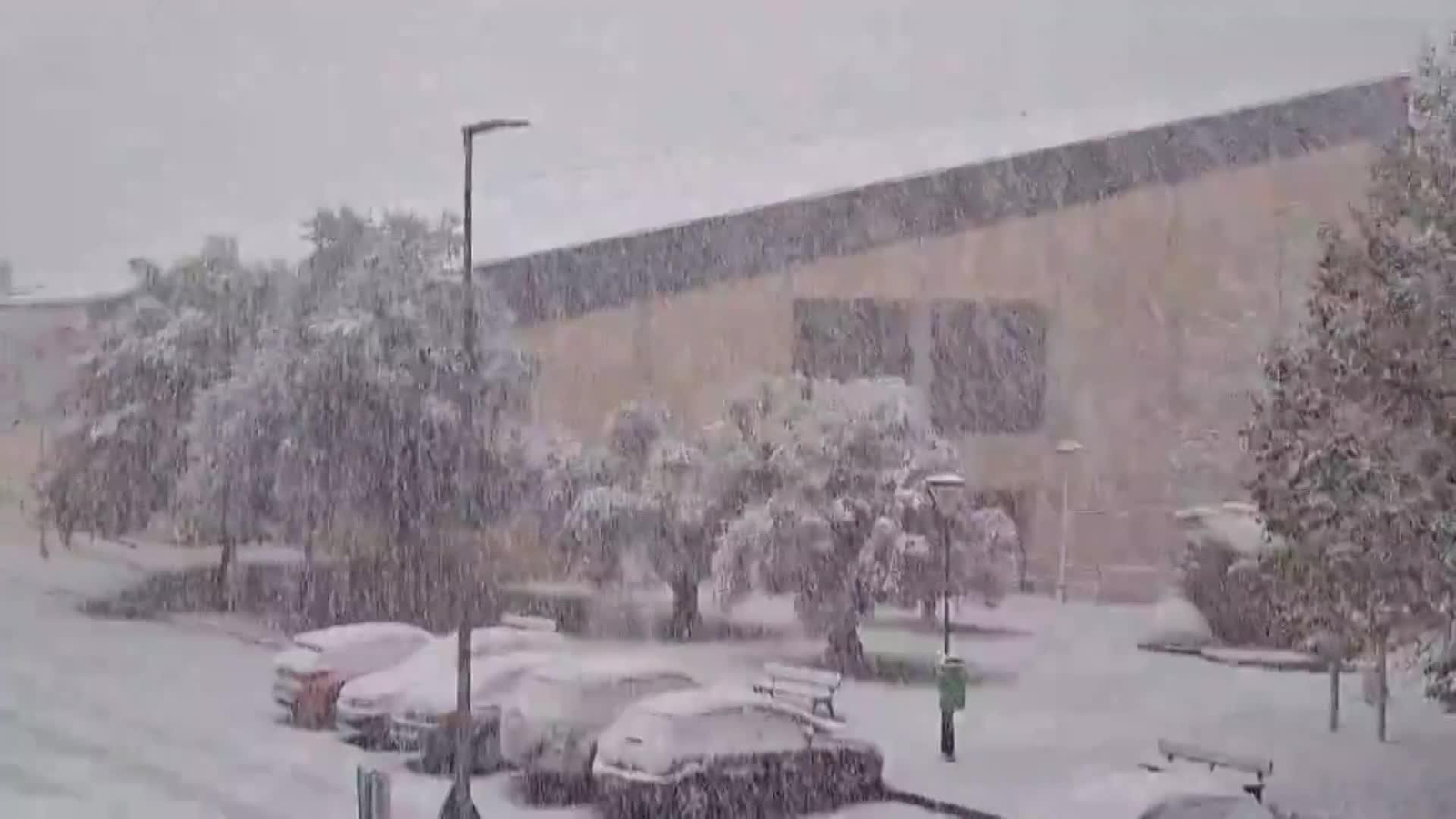 web temporal frio y nieve