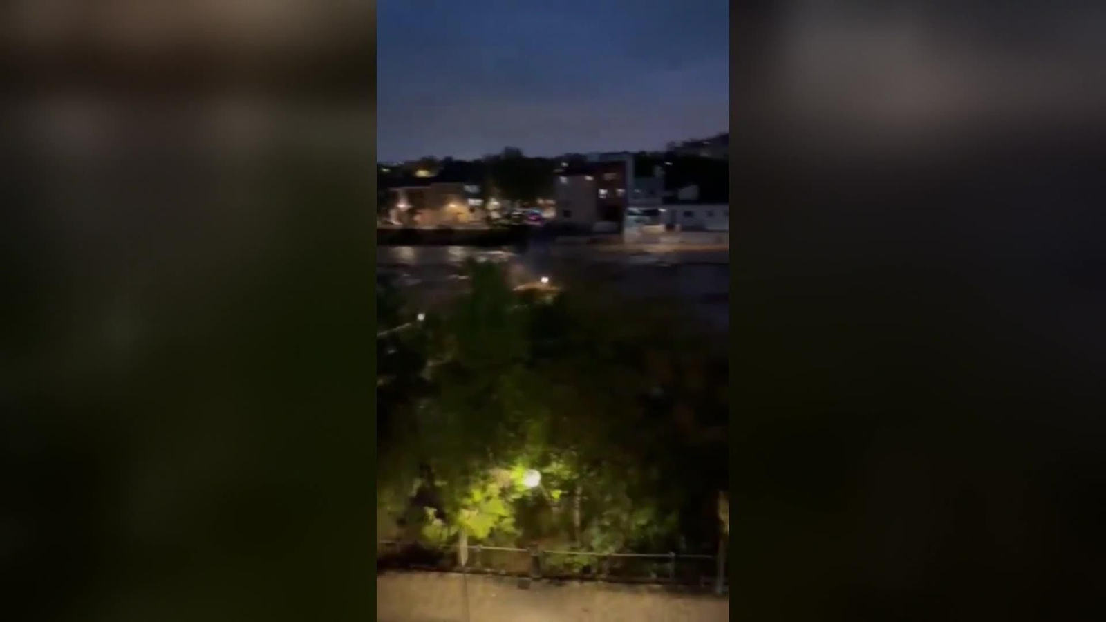 web reacciones afecatdos ok