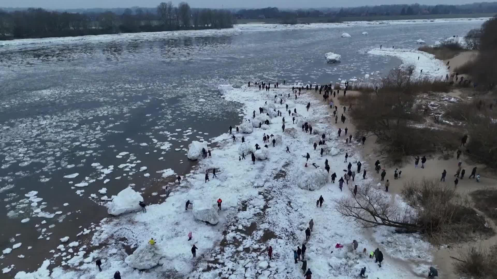 D009-ALEMANIA RIO ELBA CONGELADO