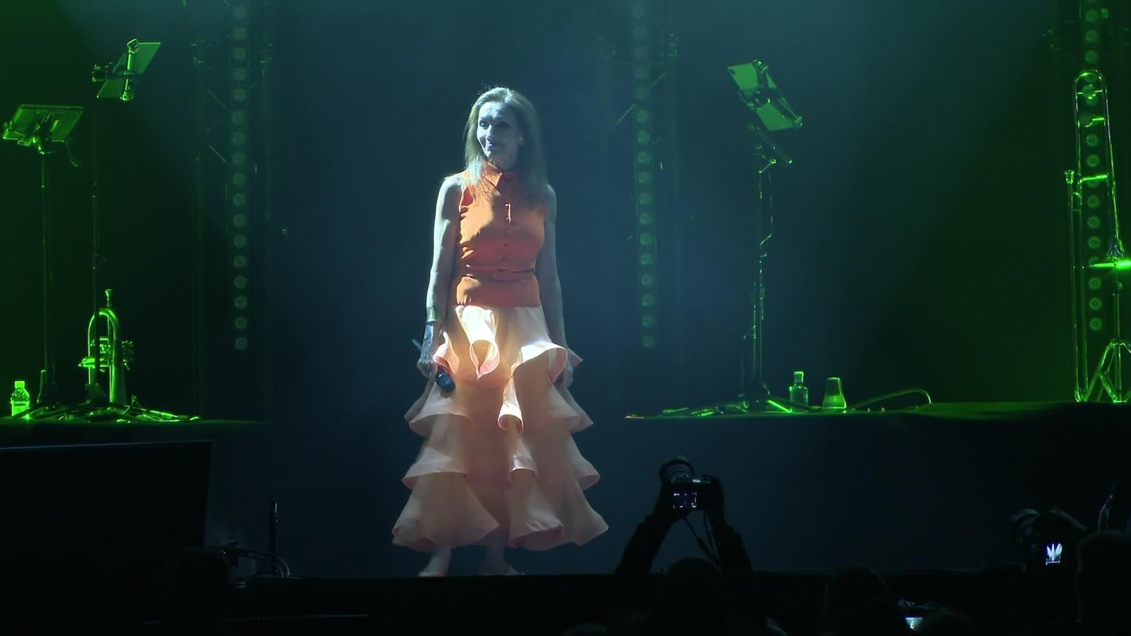 X009-MADRID CONCIERTO ANA BELEN