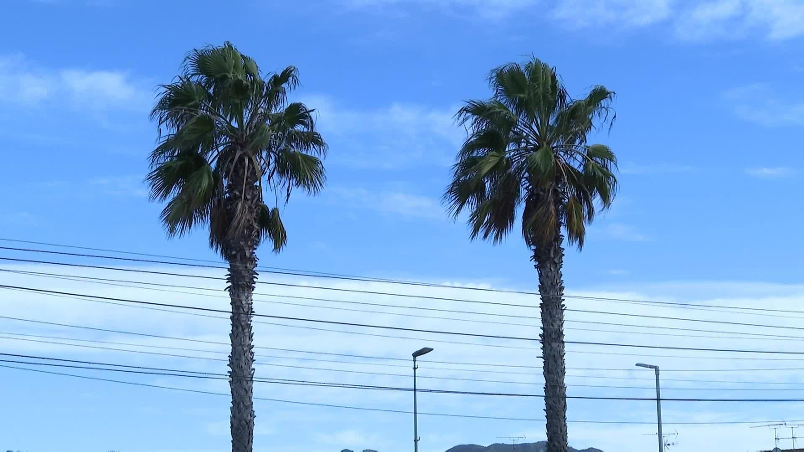 L071-TARRAGONA VIENTO TARDE