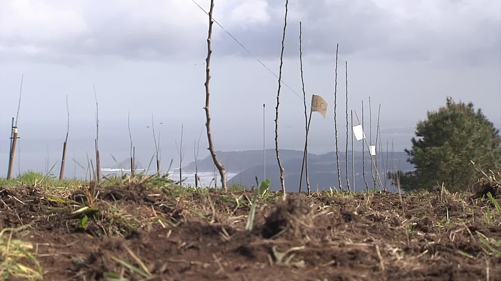 L003-EDI ASTURIAS RECUPERACION MANZANALES