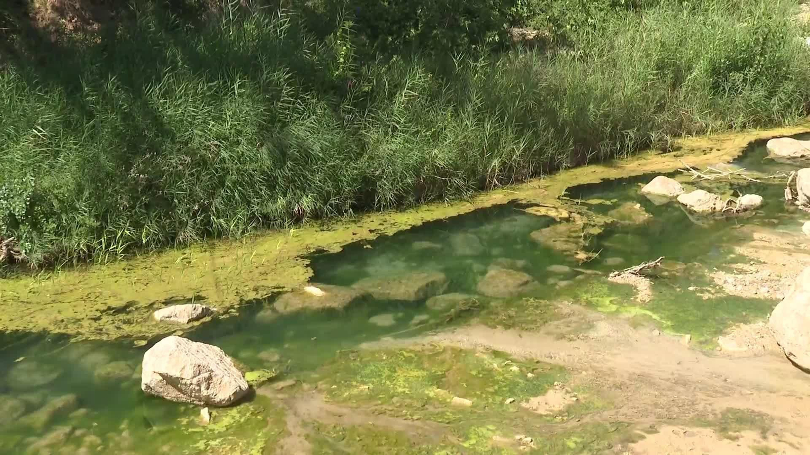 X629-VALENCIA BAÑO RIO CONTAMINACION DANA BUÑOL