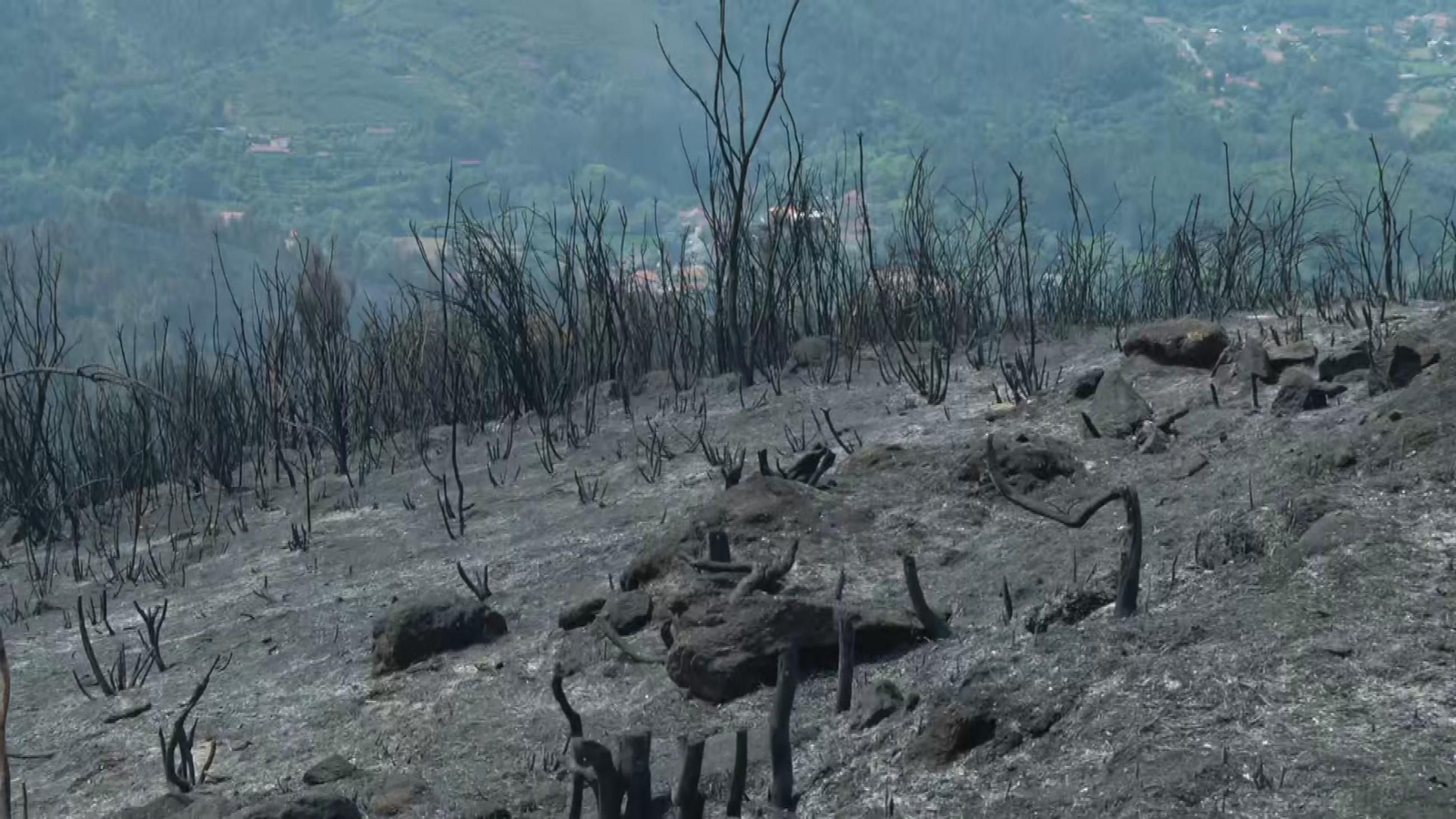 M037 PORTUGAL INCENDIO BRAGA frame 2960