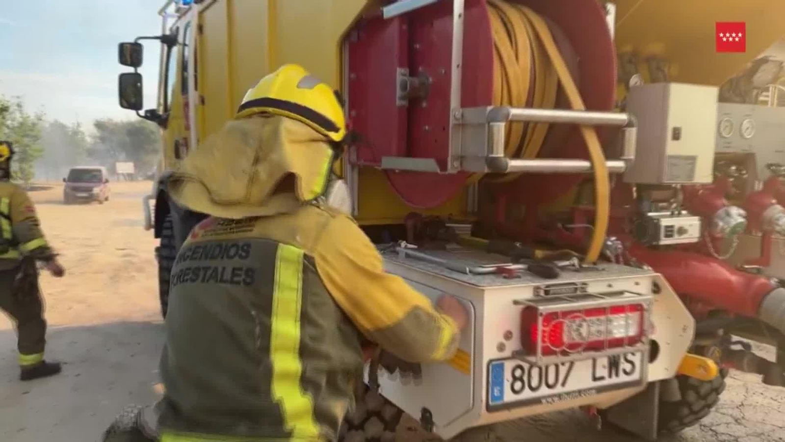 J002-EDI-VARIOS SITUACION TRABAJADORES FORESTALES