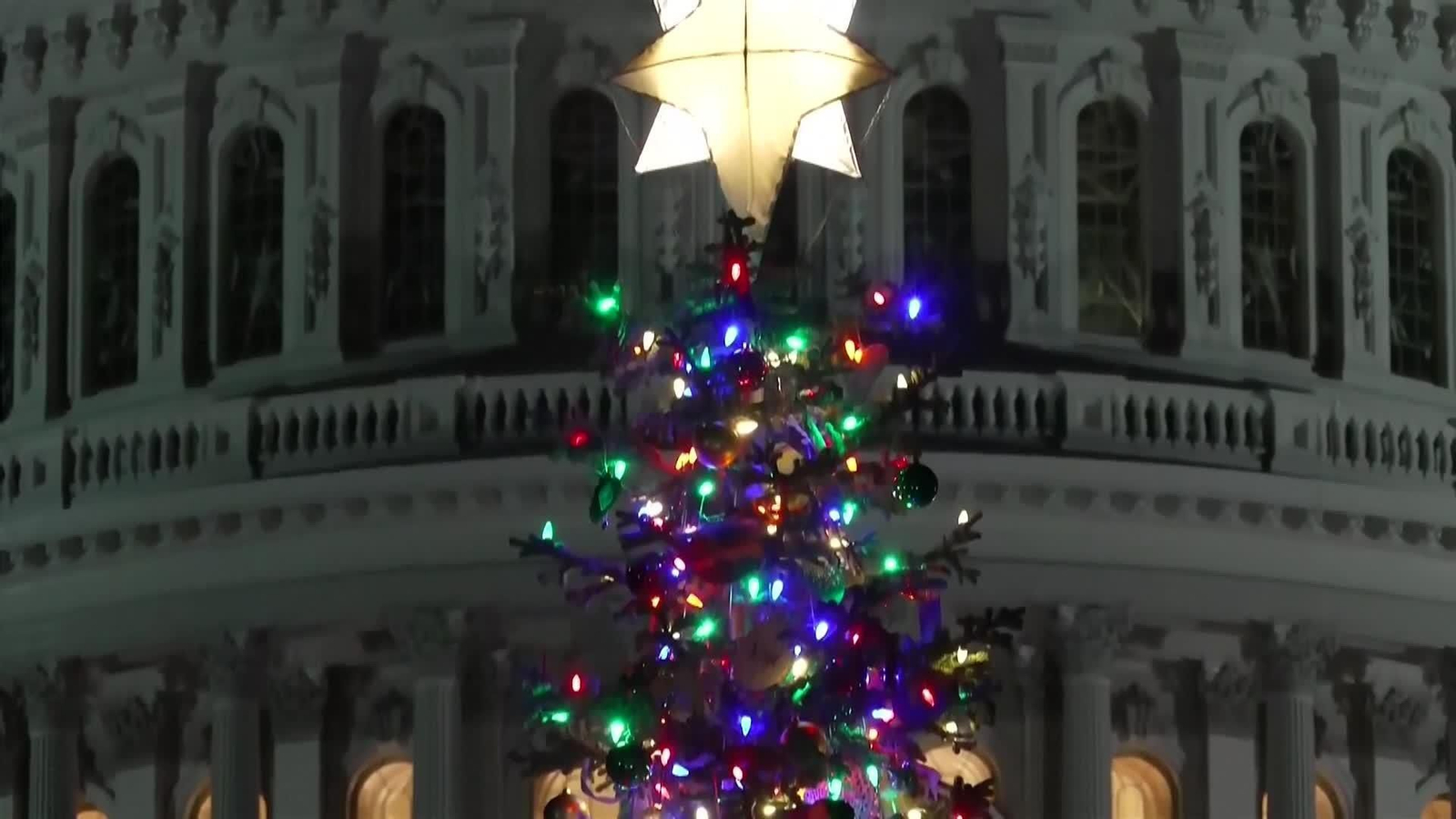 va arbol navidad capitolio