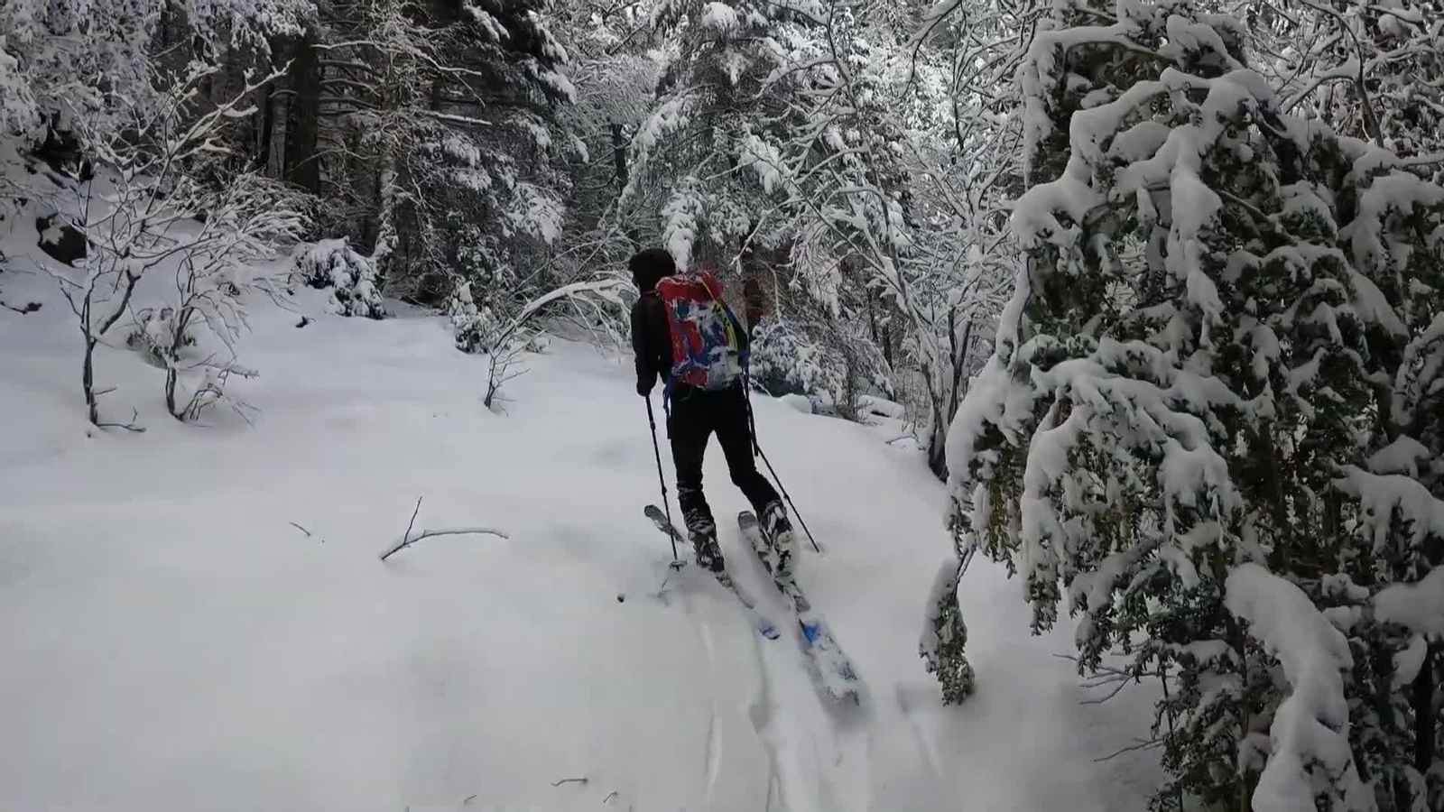 X002-EDI VARIOS PELIGRO ALUDES