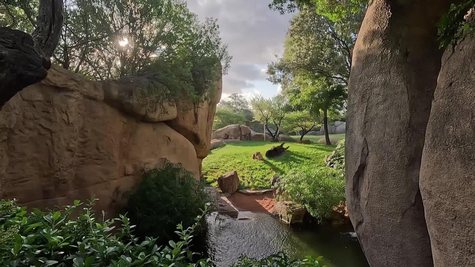 va bioparc