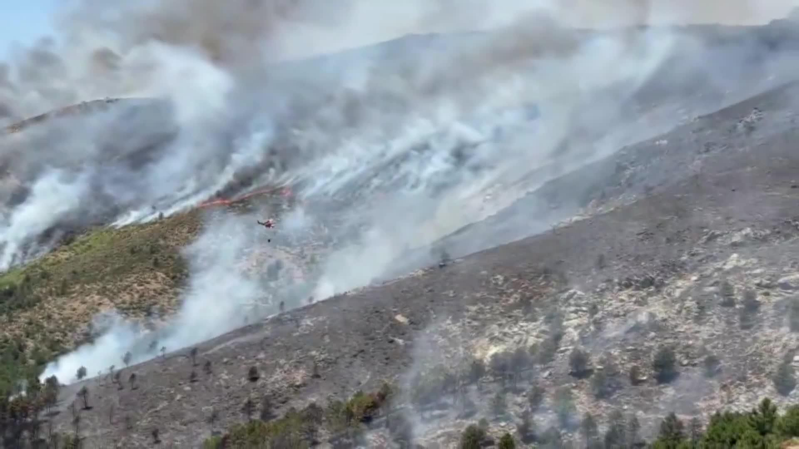 web situacion incendios