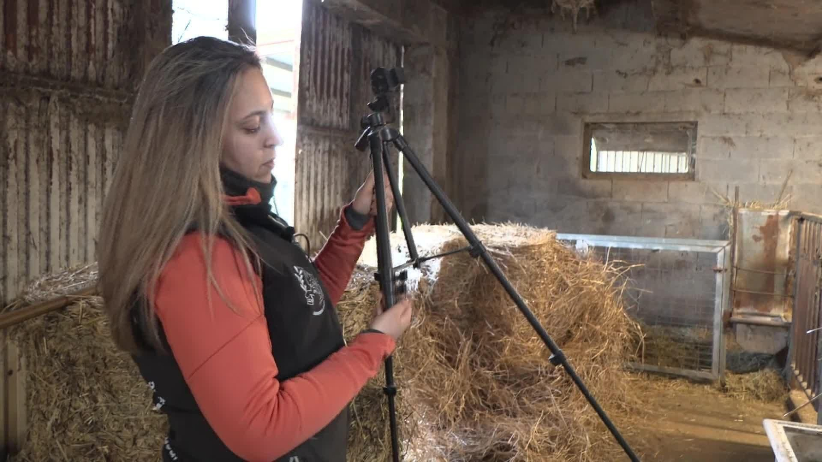 V001-EDI-VARIOS AGROINFLUENCERS