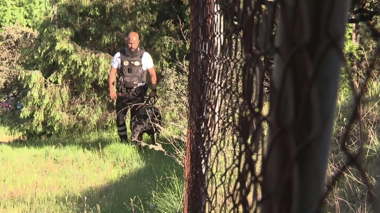 web perros antirrobo urba