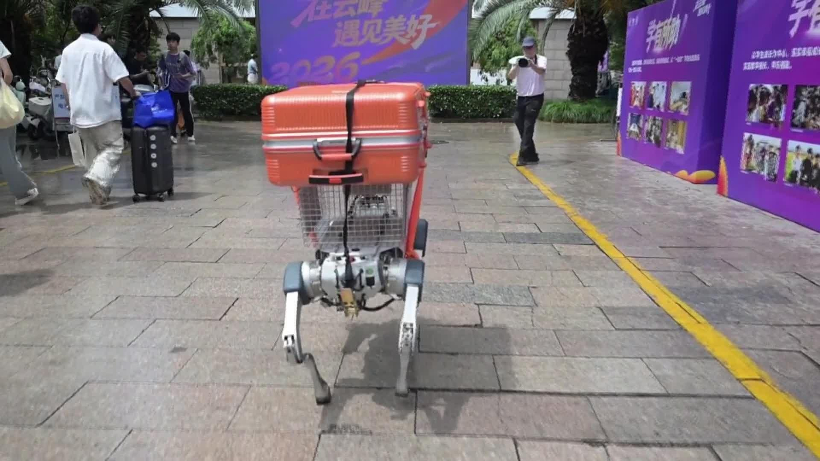 S001-CHINA ROBOT PERRO TRANSPORTE