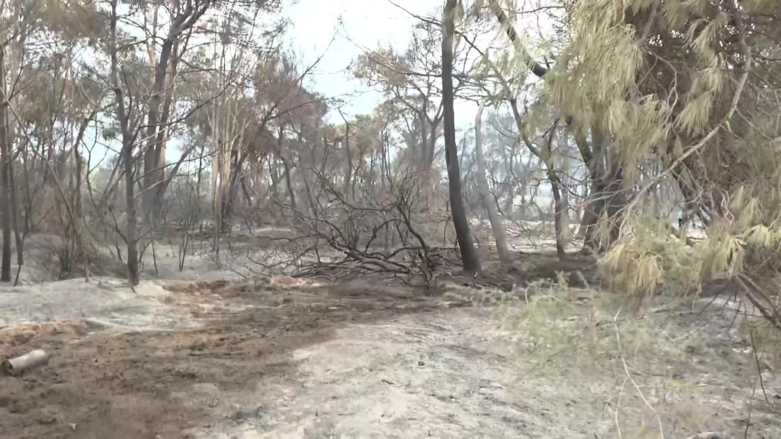 V039-VALENCIA INCENDIO EL SALER