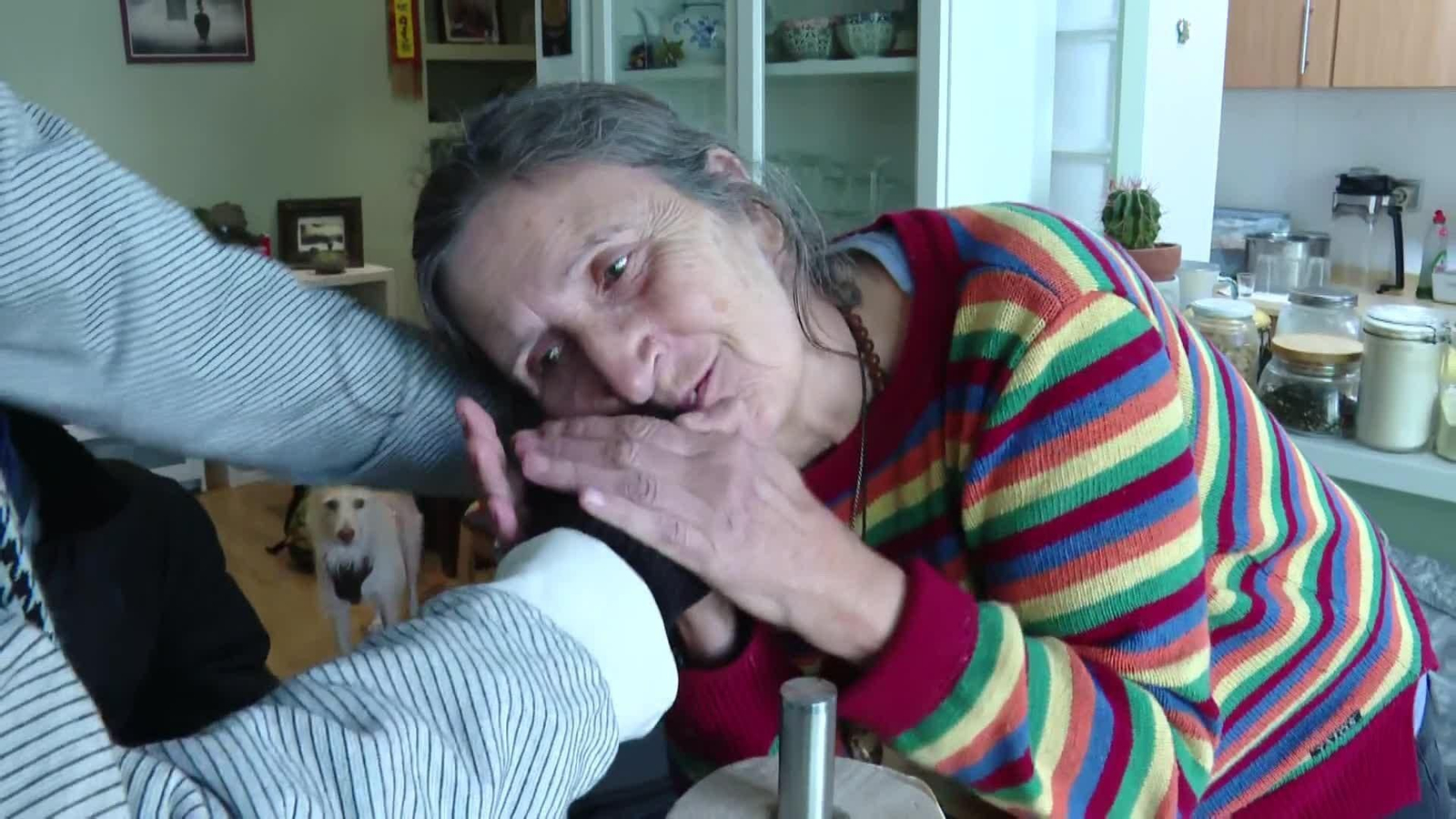 web badalona migrantes