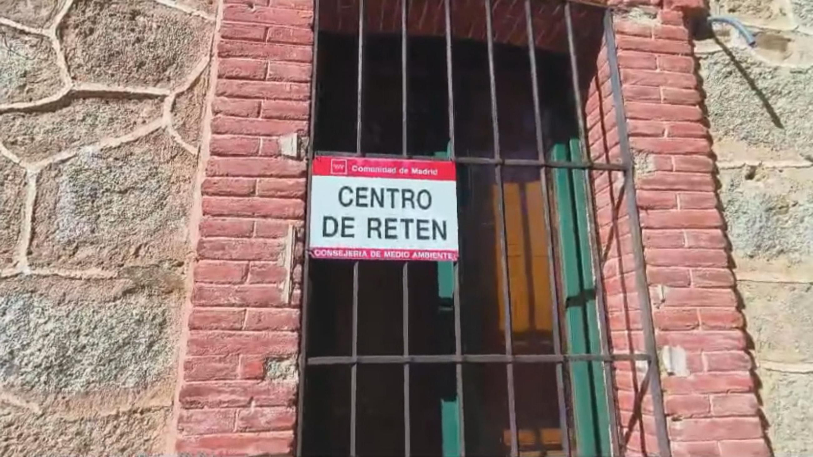 V055 EDI VARIOS LLEGA LA NIEVE frame 527