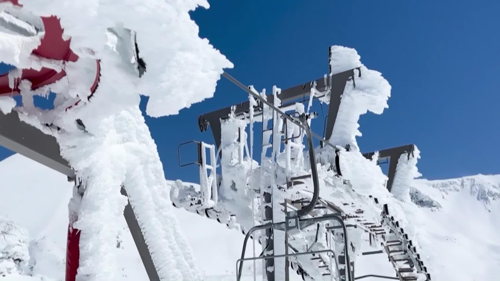 web sierra nevada OK