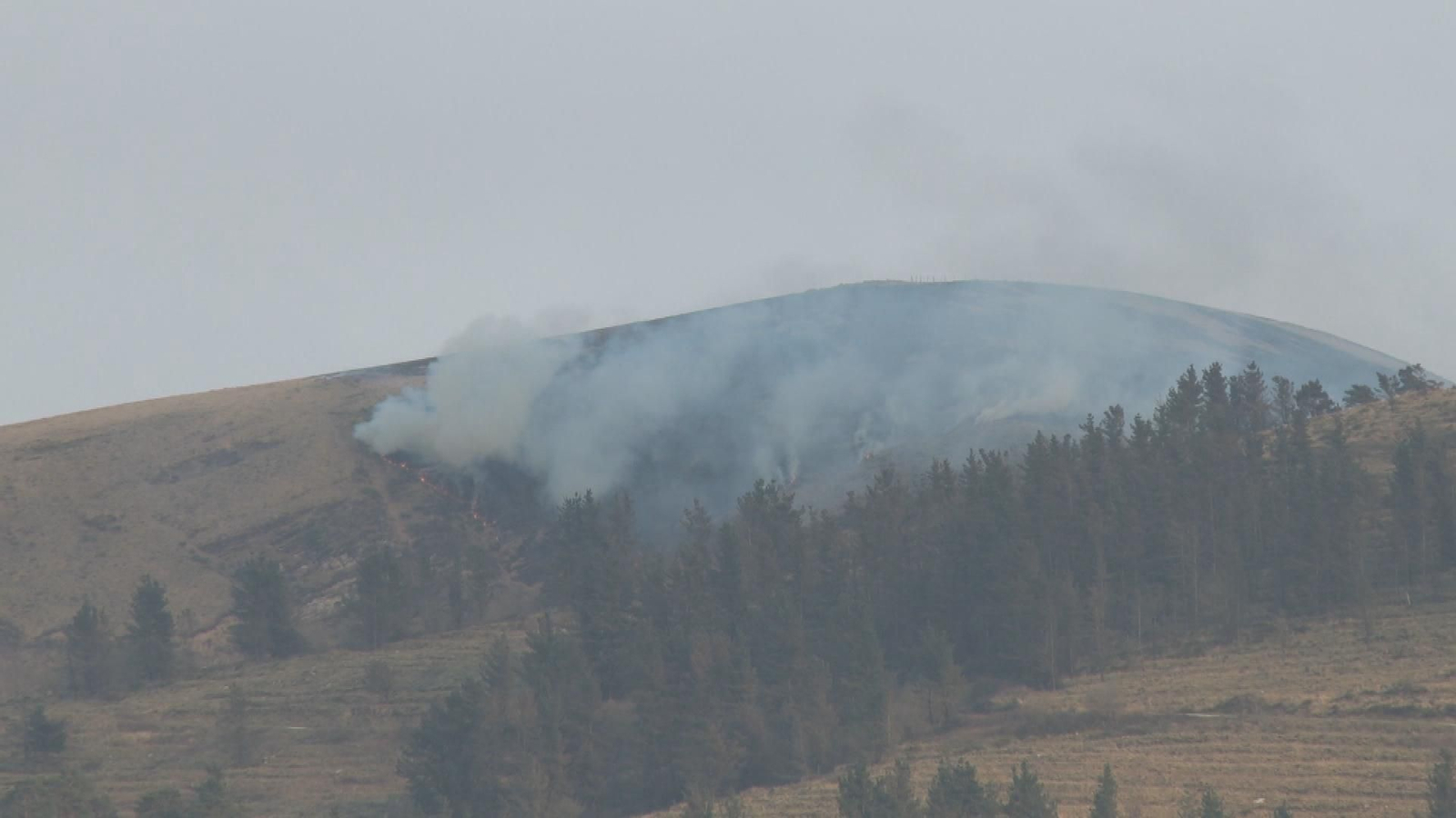 J036 CANTABRIA INCENDIOS FORESTALES frame 1883